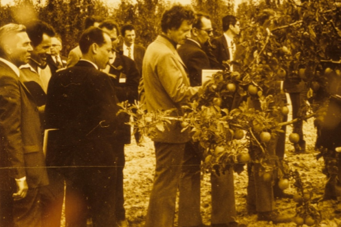 Symposium ISHS &lsquo;Culture du poirier&rsquo; &agrave; Angers &ndash; Joseph Brossier et Jean-Claude Michelesi - 1972
