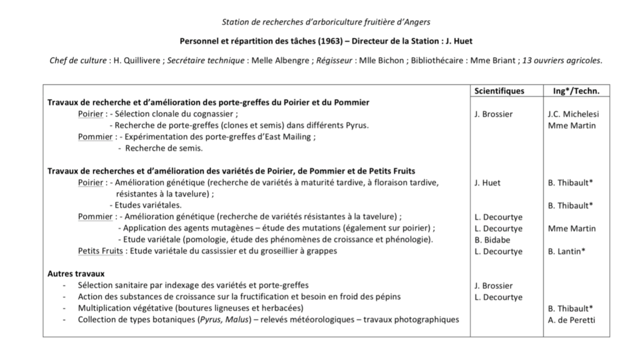 Organigramme 1963