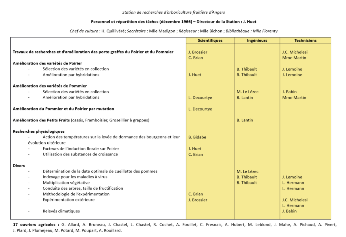 Organigramme 1964